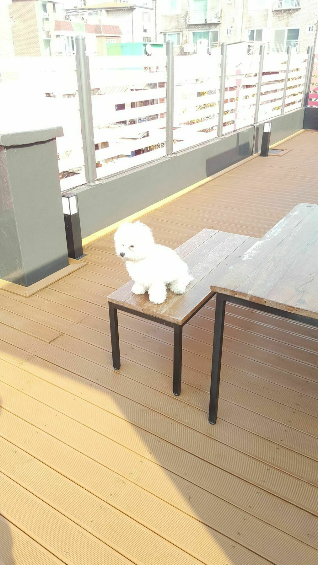 Amazon Guesthouse Seoul Luaran gambar