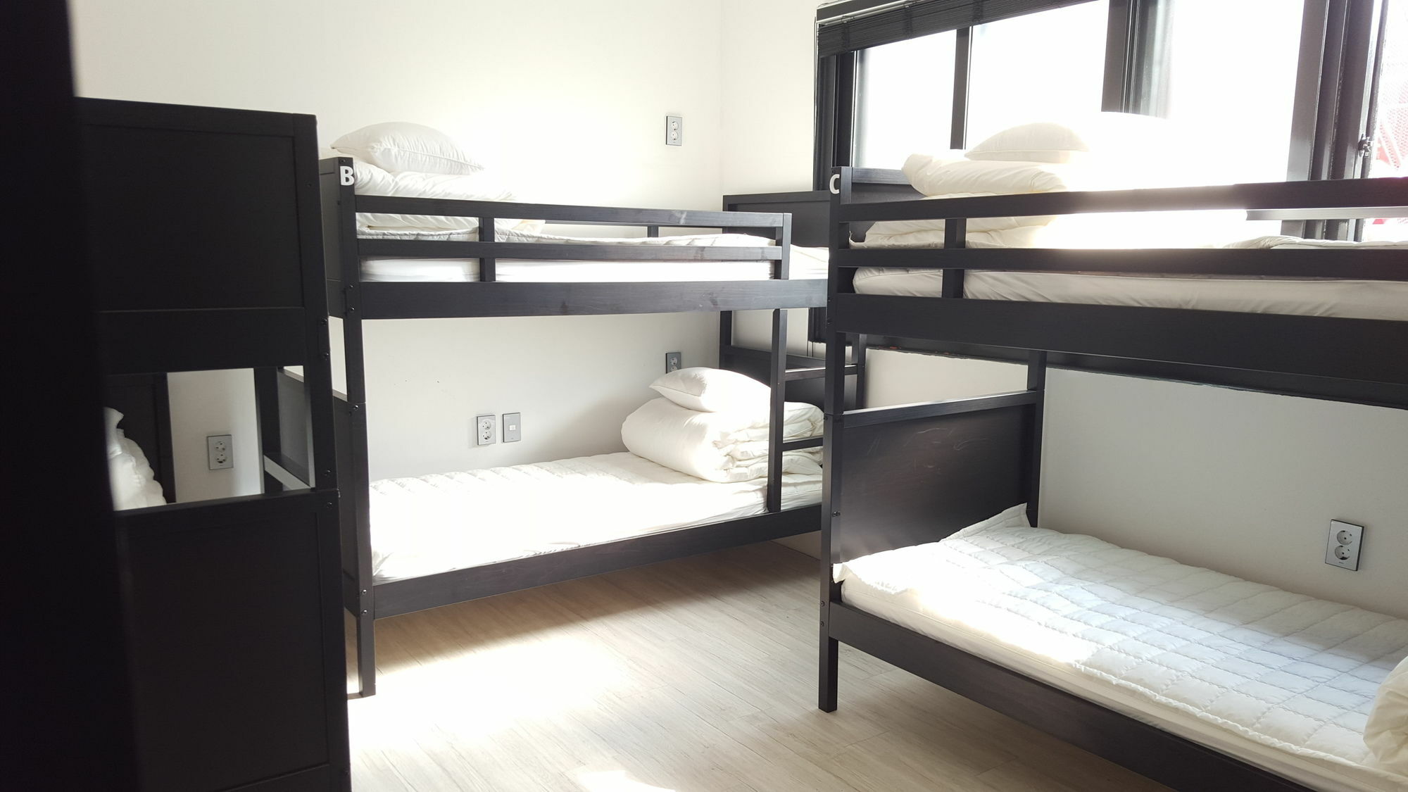Amazon Guesthouse Seoul Luaran gambar