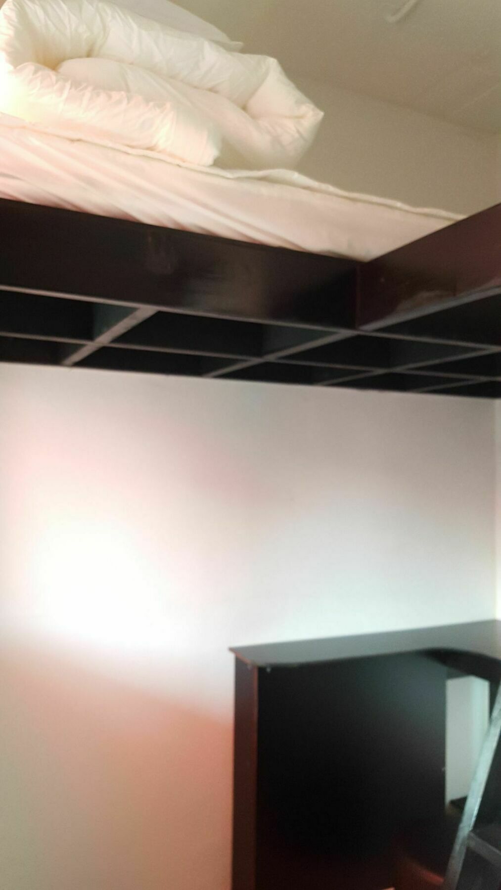 Amazon Guesthouse Seoul Luaran gambar