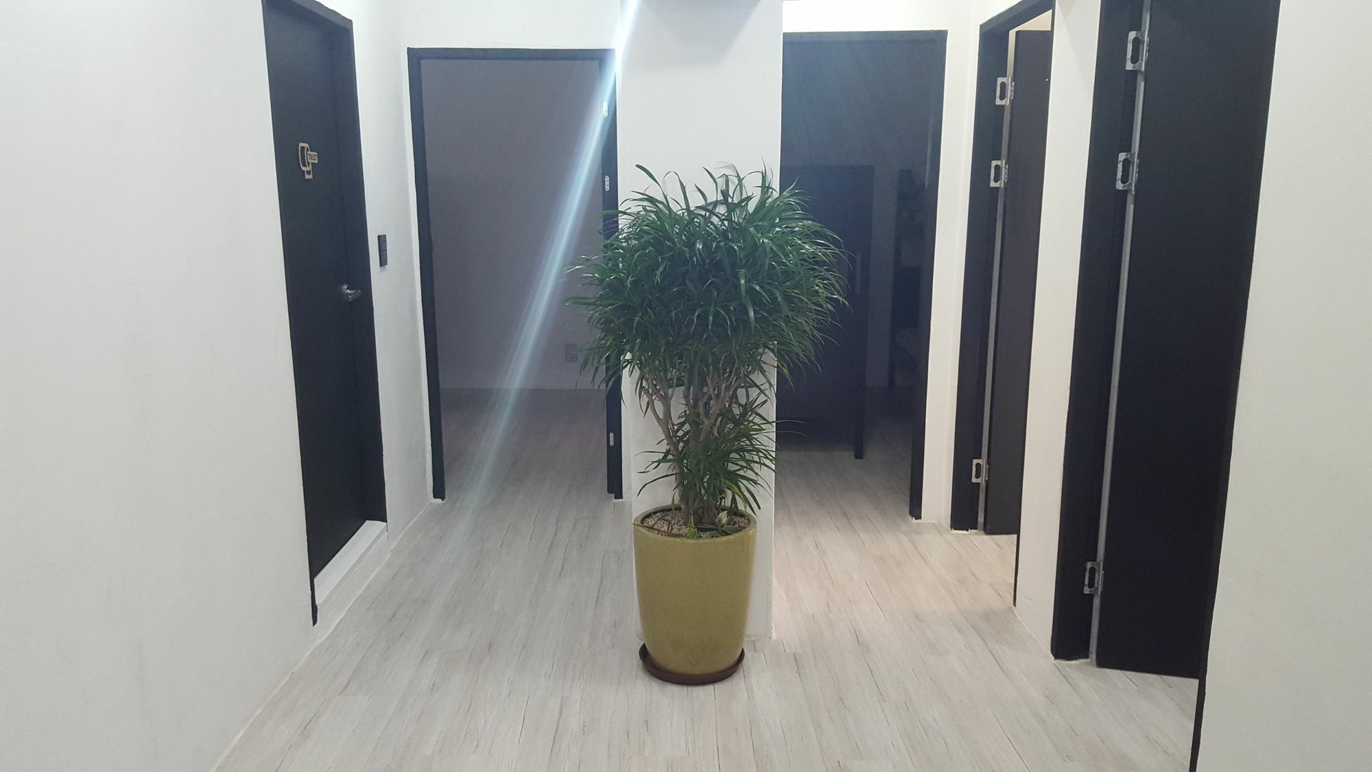 Amazon Guesthouse Seoul Luaran gambar